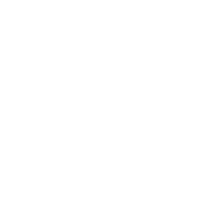 Theme Icon